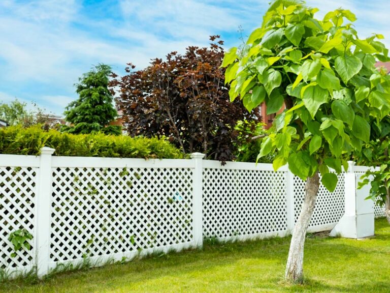 Backyard Fencing For Beginners