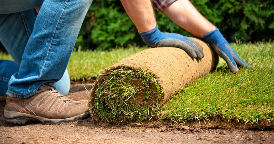 how-to-install-turf-in-backyard